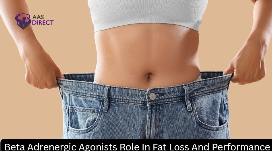 Beta Adrenergic Agonists Role In Fat Loss And Performance