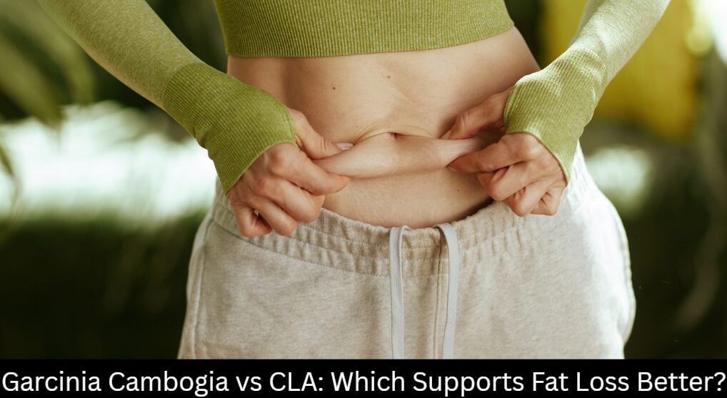 Garcinia Cambogia vs CLA: Which Supports Fat Loss Better?