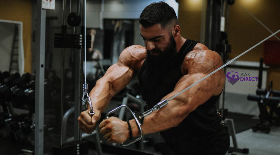 Short-Term Gains vs Long-Term Health Tradeoff in Bodybuilding