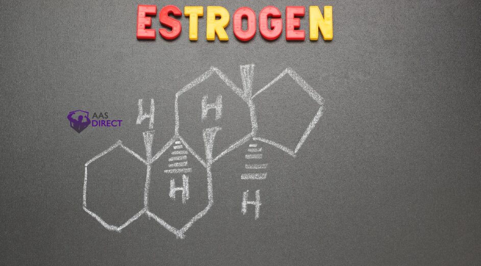 Should Bodybuilders Use Letrozole for Estrogen Control?