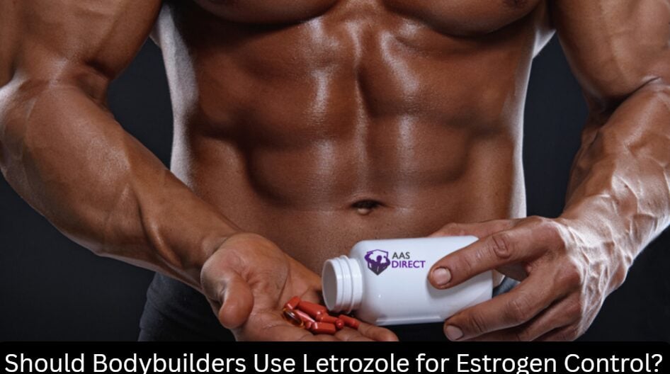Should Bodybuilders Use Letrozole for Estrogen Control?