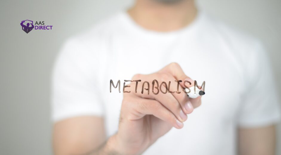 Metformin vs Fat Burners: Which Is Better for Weight Loss