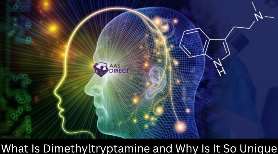 What Is Dimethyltryptamine and Why Is It So Unique