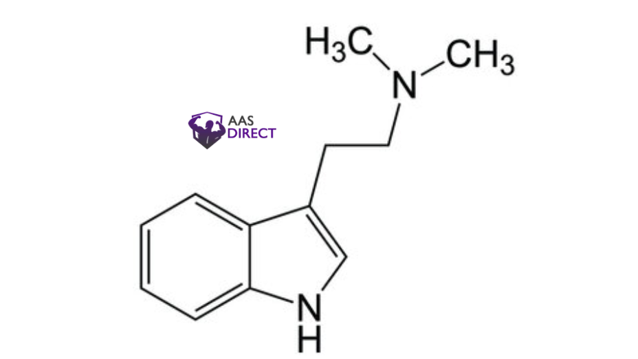 What Is Dimethyltryptamine and Why Is It So Unique