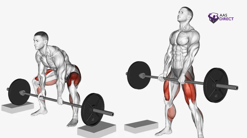 Rack Pull Technique Guide for Building a Thicker Back