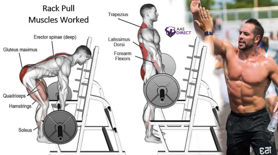 Rack Pull Technique Guide for Building a Thicker Back