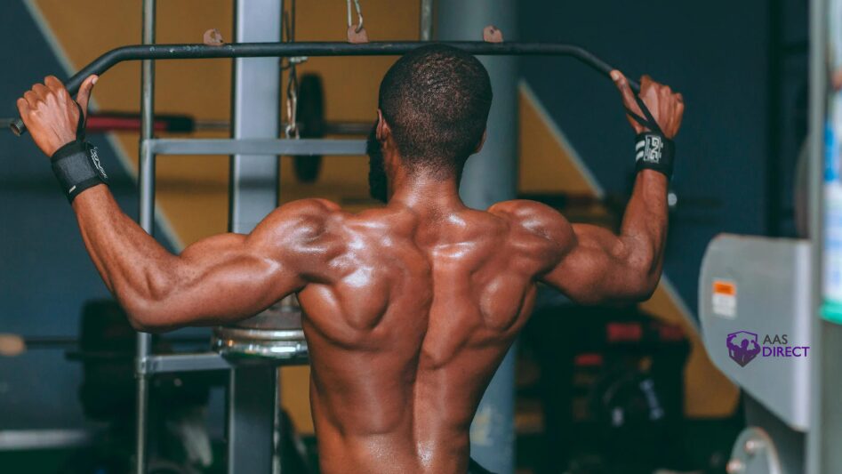 The Role of Circadian Rhythms in Muscle Growth and Recovery