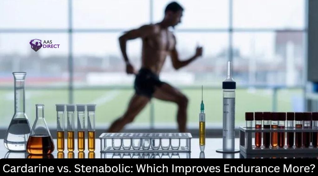 Cardarine vs. Stenabolic: Which Improves Endurance More?