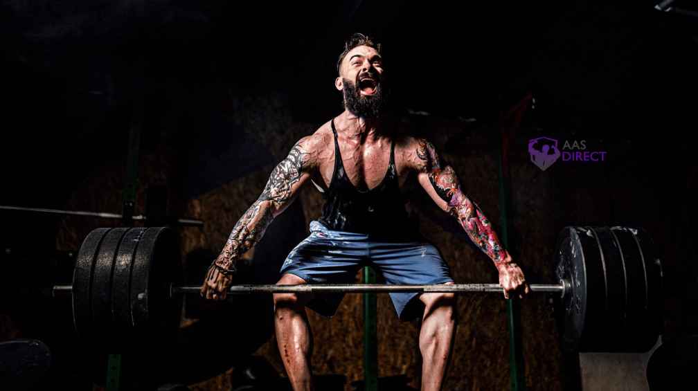 Top Anabolic Steroids Ranked by Strength-Building Potential