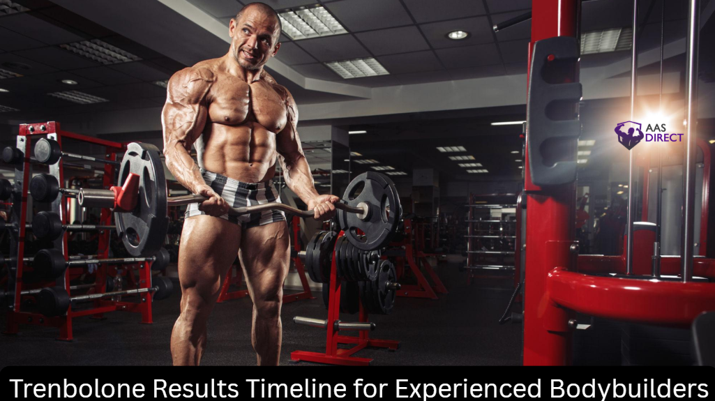 Trenbolone Results Timeline for Experienced Bodybuilders