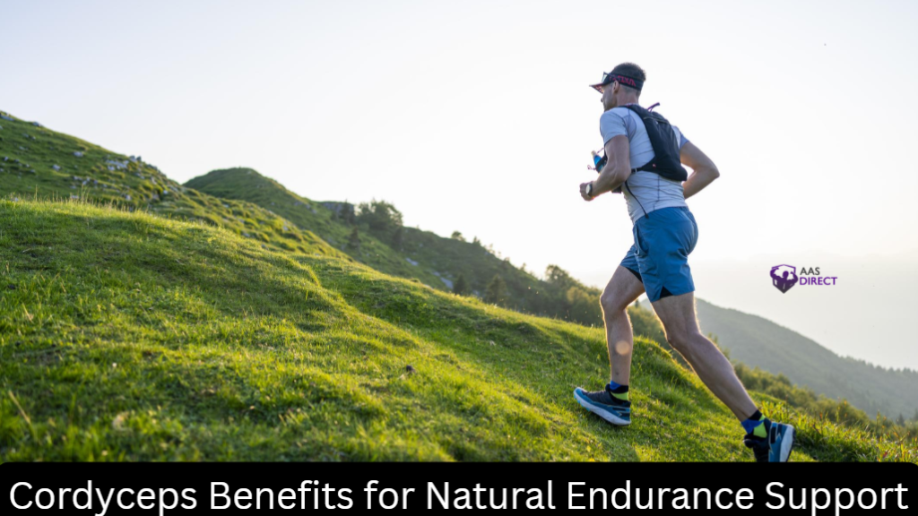 Cordyceps Benefits for Natural Endurance Support