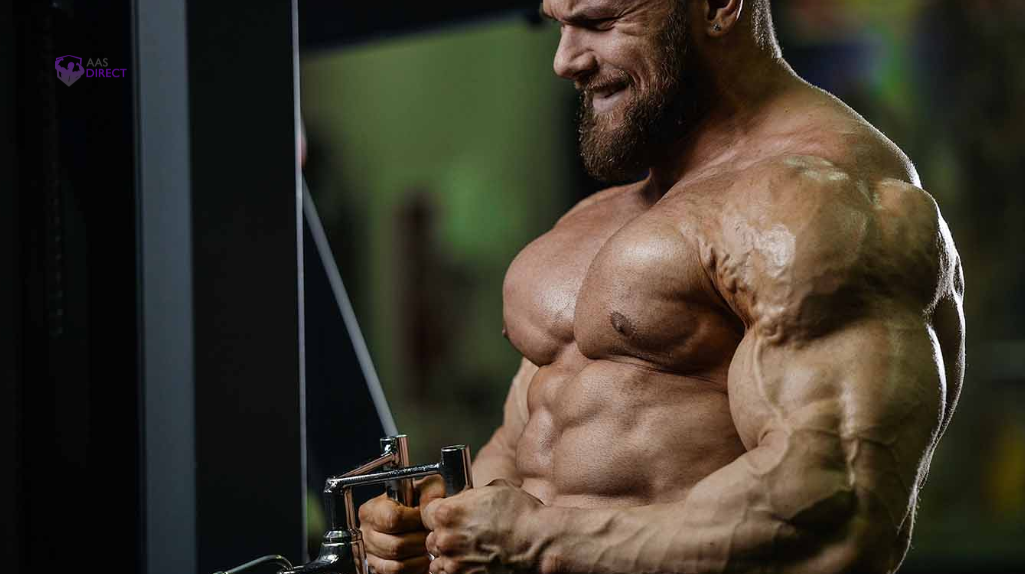 Guide to Progressive Physique Development for Competitors