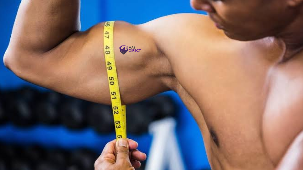 Supplement Bioavailability Guide for Better Muscle Growth Results